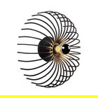 Aplica de perete Aspendos N-645, Noor, 12 x 36 cm, 1 x E27, 100W, negru