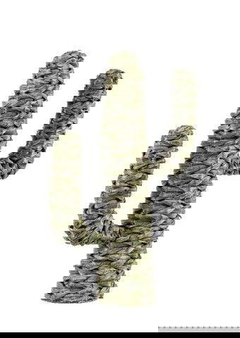 Decoratiune, Saguaro Cactus, Bizzotto, 59 cm, iarba de mare