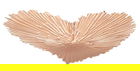 Platou decorativ Trya Glam -C, Mauro Ferretti, 29x25 cm, fier, aramiu
