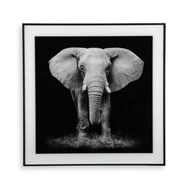 Tablou decorativ din sticla Elephant, Versa, 50x50 cm