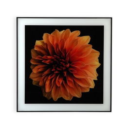 Tablou decorativ Gracelynn Flower, Versa, 40 x 60 cm, sticla