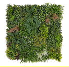 Panou verde decorativ / perete artificial Rio, Bizzotto, 100 x 100 cm