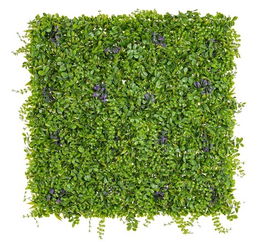 Panou verde decorativ / perete artificial Provenza, Bizzotto, 100 x 100 cm