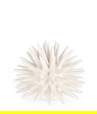 Decoratiune Abyss Sea Urchin, Bizzotto, Ø 15 x 13 cm, portelan, alb