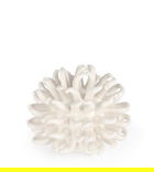 Decoratiune Deep Sea Urchin, Bizzotto, Ø 15 x 13 cm, portelan, alb