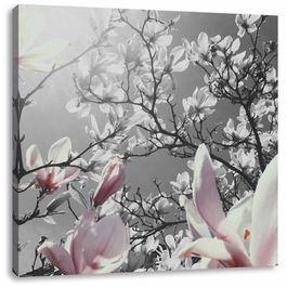 Tablou „Magnolie”, panza, 70 x 70 cm