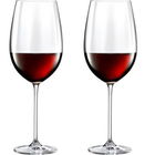 Set 2 pahare vin rosu Schott Zwiesel Elegance cristal Tritan 506ml