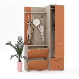 Mobilier hol RIVA cu pantofar dublu, configuratia RIVA4, configuratia RIVA4, oak, ginger
