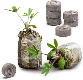 Set pamant pentru plante Danolt, 36 bucati, 30 x 12 mm