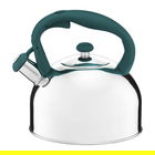 Ceainic cu maner colorat Tropical, Ambition, 2.3 L, inox, verde