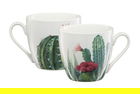 Cana Cactus Aloes, Ambition, 510 ml, portelan, multicolor