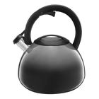 Ceainic Ombre, Ambition, 2.6 L, inox, gri