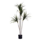 Planta decorativa Dracaena marginata, Ibergarden, 85x80x140 cm, plastic