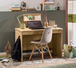 Birou, Çilek, Mocha Study Desk, 110x75x62cm, Multicolor