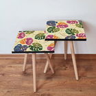 Set masute 2 piese, Leona, 2SHP139, Multicolor