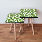 Set masute 2 piese, Leona, 2SHP253, Verde / Alb
