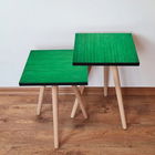 Set masute 2 piese, Leona, 2SHP342, Verde / Negru