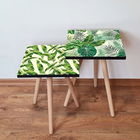 Set masute 2 piese, Leona, 2SHP498, Verde / Alb