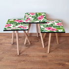 Set masute 3 piese, Leona, 3SHP192, Roz / Verde / Cremă