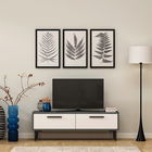 Comoda TV, Olivia, Leni, 120x45x29.6cm, 100% PAL melaminat , Antracit / Alb