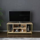 Comoda TV, Retricy, Rinaldo, 120x35x50.8cm, 100% PAL melaminat, Aur / Stejar