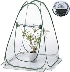 Mini sera pliabila Kakeah, PVC, transparent/verde, 71 x 71 x 78 cm