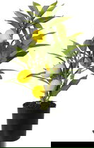 Planta decorativa Lemon Tree, 10x10x43 cm, polipropilena