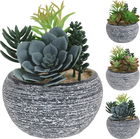 Planta decorativa Succulent, 13x17 cm, polipropilena, asortat