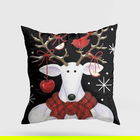 Perna decorativa, YY202329, 43x43 cm, 50% Bumbac / 50% Poliester, Multicolor