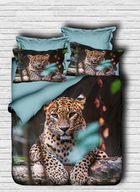 Lenjerie de pat dubla Super King (EU) (IT), 3 piese, 134, Pearl Home, Bumbac