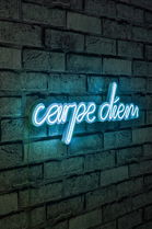 Decoratiune luminoasa LED, Carpe Diem, Benzi flexibile de neon, DC 12 V, Albastru