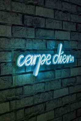 Decoratiune luminoasa LED, Carpe Diem, Benzi flexibile de neon, DC 12 V, Albastru