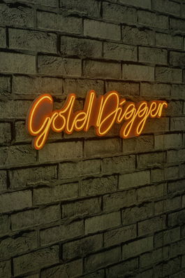 Decoratiune luminoasa LED, Gold Digger, Benzi flexibile de neon, DC 12 V, Galben