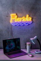 Decoratiune luminoasa LED, Florida, Benzi flexibile de neon, DC 12 V, Galben / Albastru