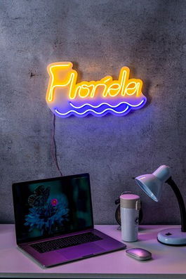 Decoratiune luminoasa LED, Florida, Benzi flexibile de neon, DC 12 V, Galben / Albastru