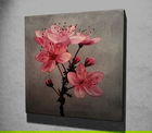 Tablou decorativ, KC081, Canvas, Dimensiune: 45 x 45 cm, Multicolor