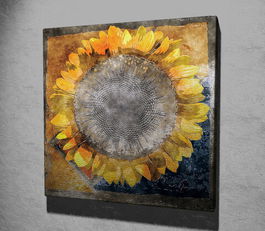 Tablou decorativ, KC083, Canvas, Dimensiune: 45 x 45 cm, Multicolor