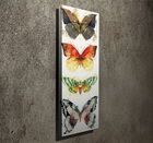 Tablou decorativ, PC087, Canvas, 30 x 80 cm, Multicolor