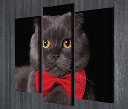 Set 3 tablouri decorative, UC57, Canvas, 45 x 20 cm, Multicolor