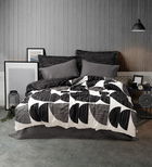 Lenjerie de pat pentru o persoana Single XXL (DE), Niko - Anthracite, Cotton Box, Bumbac Ranforce
