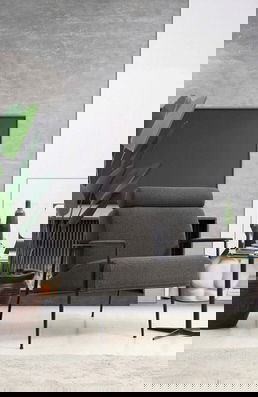 Fotoliu, Artie, 560ARE1735, Lemn de fag / PAL, Gri