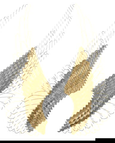 Set 2 decoratiuni de perete, Pair of Wings, Mauro Ferretti, 37 x 105.5 cm, fier, auriu