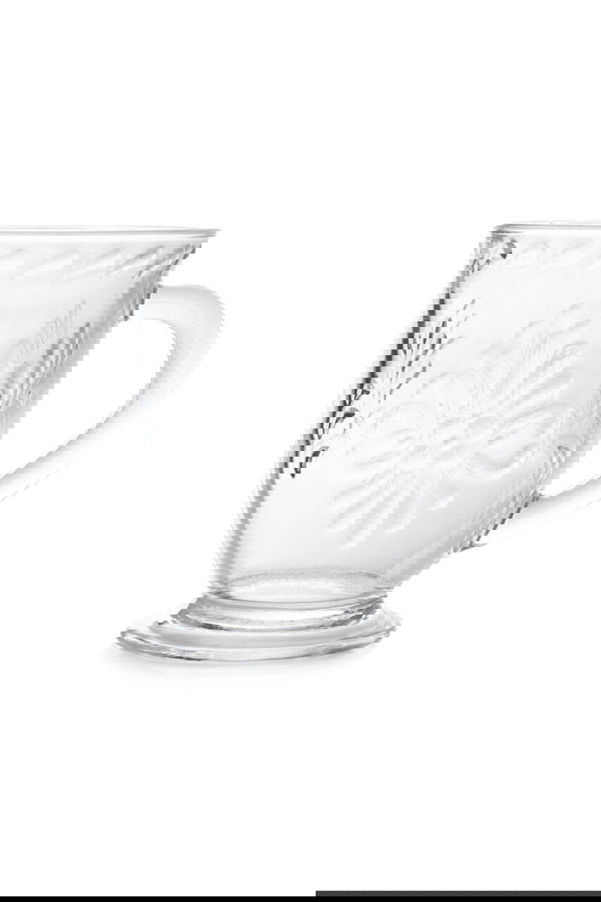 Set 2 cani Roser, Homla, 450 ml, sticla, transparent