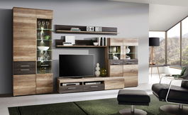 Set mobilier living 4 piese Nuth IV, 349x51.7x206.5 cm, PAL/sticla/plastic, maro antic/gri