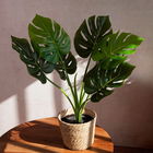 Floare artificiala Tropical, Homla, 75 cm, plastic, verde/negru