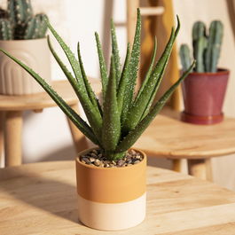 Floare artificiala Semela, Homla, 32 cm, plastic, multicolor