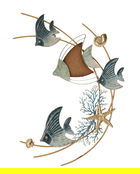 Decoratiune de perete Dory, Mauro Ferretti, 61x86 cm, fier/MDF, multicolor